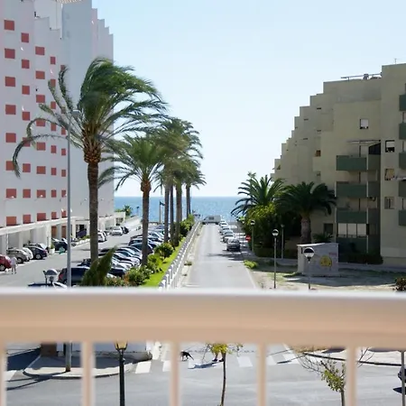 Global M Apartment *